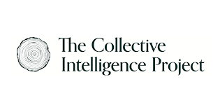The Collective Intelligence Project